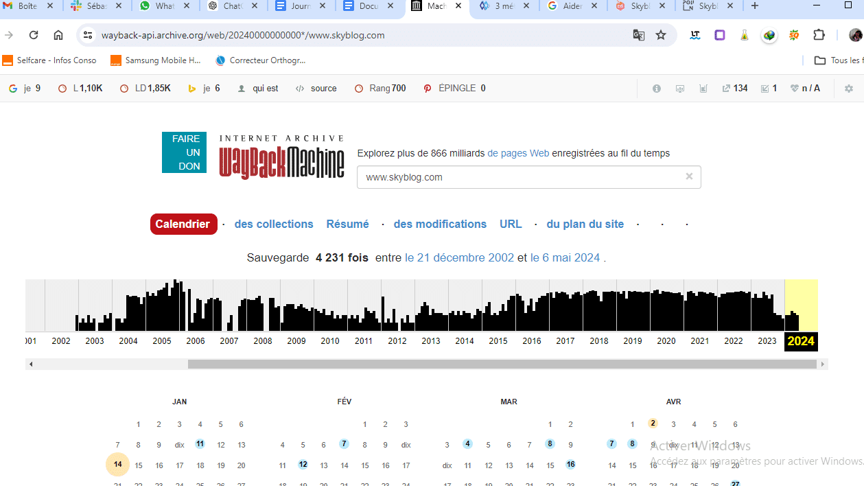 webarchive pour retrouver des images de son skyblog